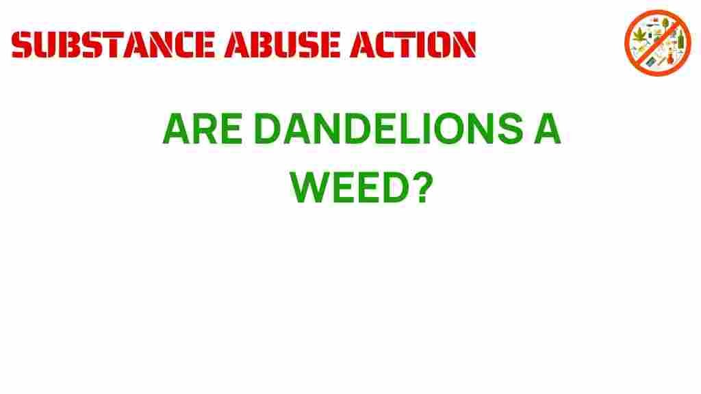 dandelions-are-they-weeds