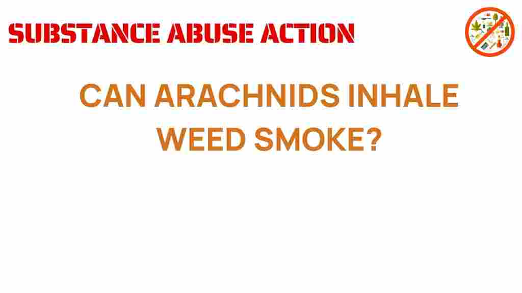 can-arachnids-inhale-weed-smoke