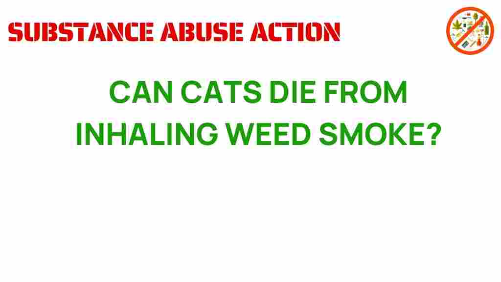 can-cats-die-from-inhaling-weed-smoke