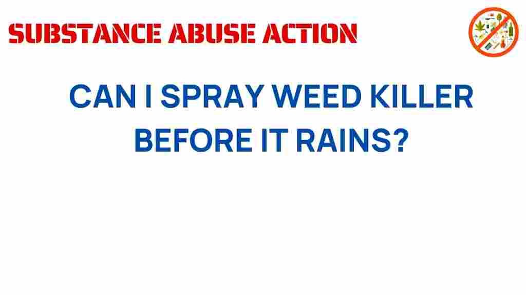 spray-weed-killer-before-rain