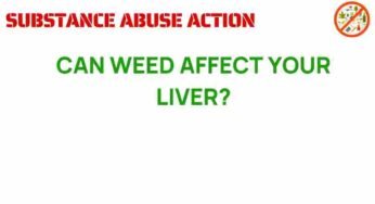 Is Cannabis Impacting Your Liver Health? Uncovering the Truth