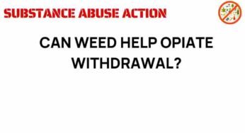 Can Cannabis Be a Key Ally in Opiate Withdrawal Recovery?