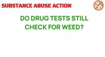 Are Drug Tests Still Detecting Marijuana in 2023?