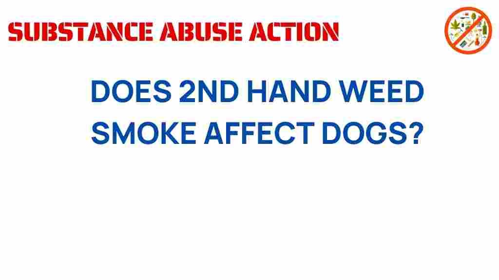 secondhand-smoke-affect-dogs