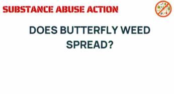 The Intriguing Journey of Butterfly Weed: Does It Spread?