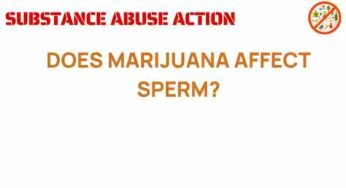 Unraveling the Mystery: Does Marijuana Affect Sperm Health?