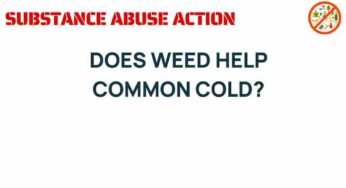 Can Cannabis Alleviate Common Cold Symptoms? Experts Weigh In