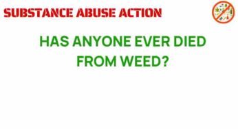 The Unseen Risks: Has Anyone Really Died from Weed?