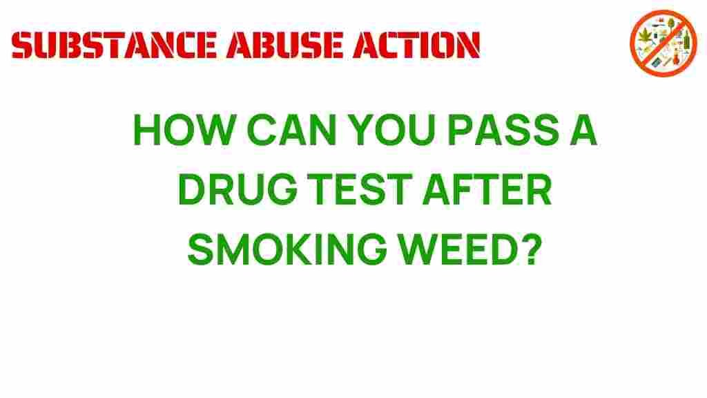 drug-test-passing-strategies