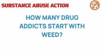 Unraveling the Truth: How Many Drug Addicts Start with Weed?