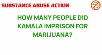Unraveling the Truth: Kamala Harris and Marijuana Arrests