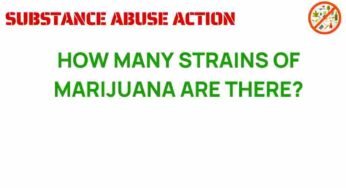 Unraveling the Mystery: How Many Strains of Marijuana Exist?