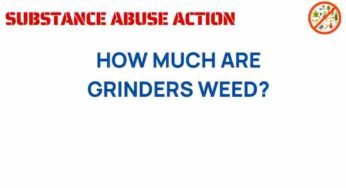 Unveiling the Cost: How Much Are Weed Grinders Today?