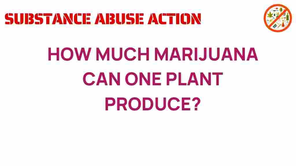 marijuana-yield-one-plant