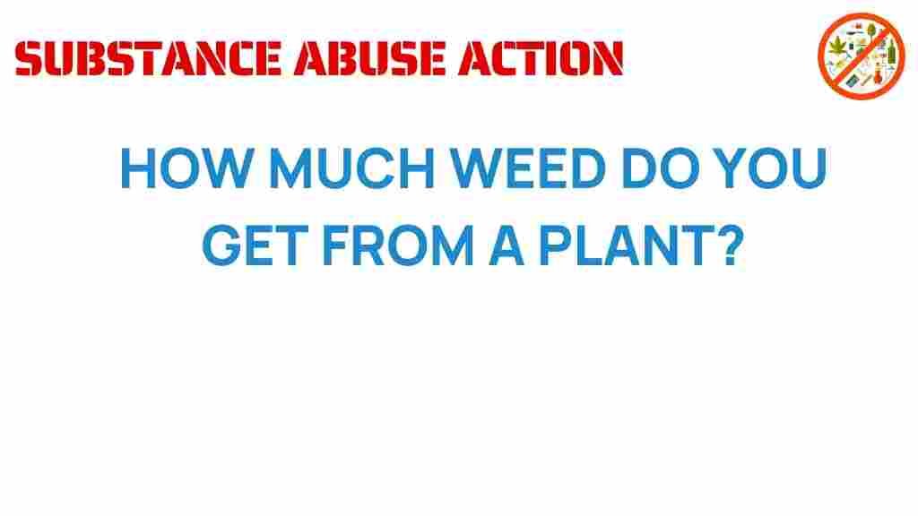 cannabis-yield-how-much-weed-plant