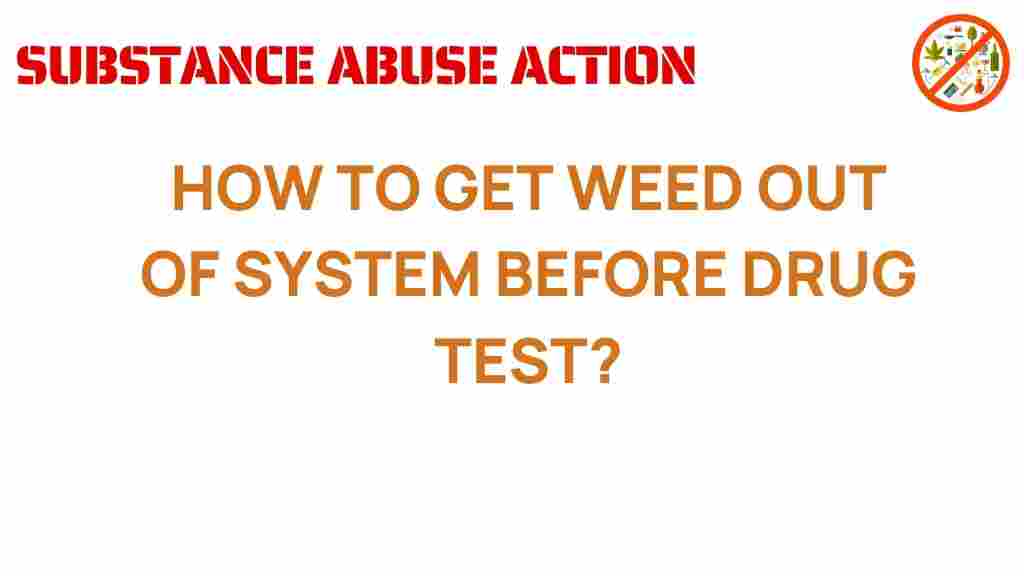 get-weed-out-of-system-drug-test