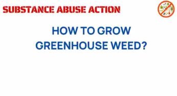 Unlocking the Secrets of Greenhouse Cannabis Cultivation