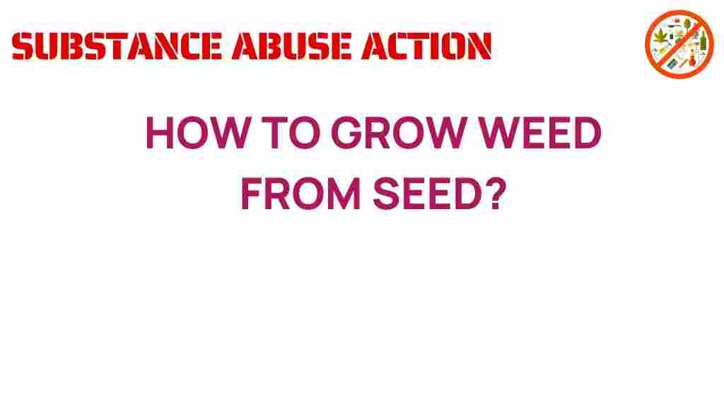 grow-weed-from-seed-successfully