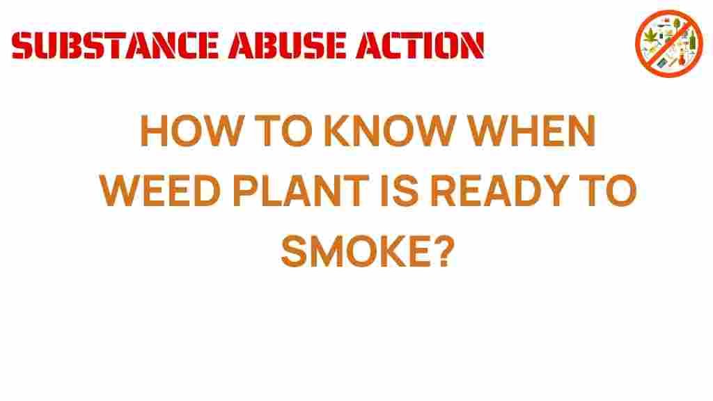 cannabis-cultivation-weed-readiness