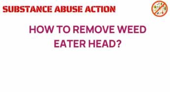 Mastering the Art of Weed Eater Head Removal: A Step-by-Step Guide