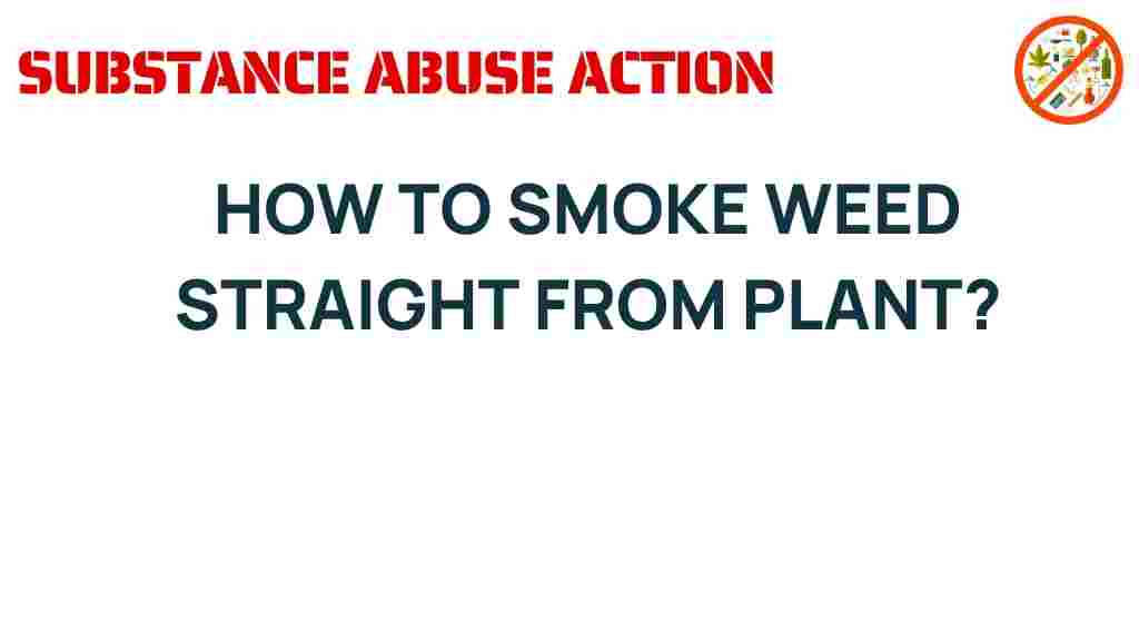 how-to-smoke-weed-straight-from-plant
