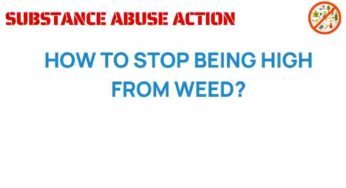 The Path to Clarity: How to Stop Being High from Weed