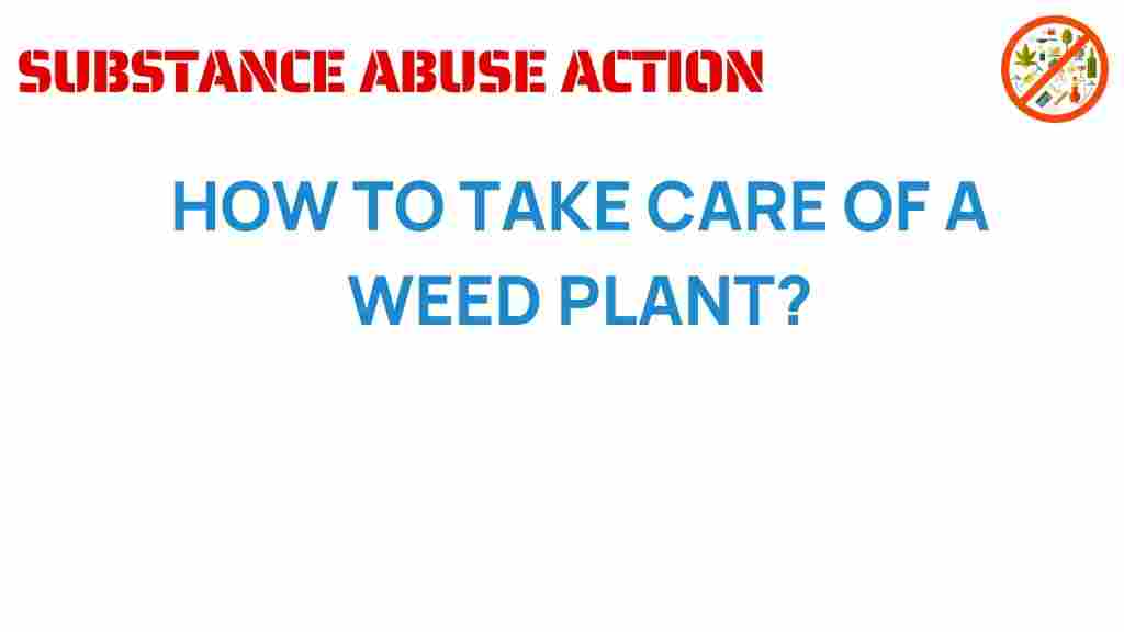 weed-plant-care-guide