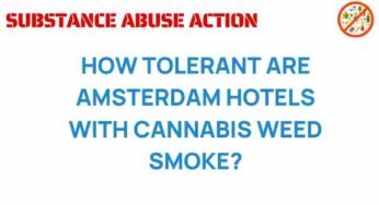 Unpacking Amsterdam’s Cannabis Tolerance: What Hotels Really Allow