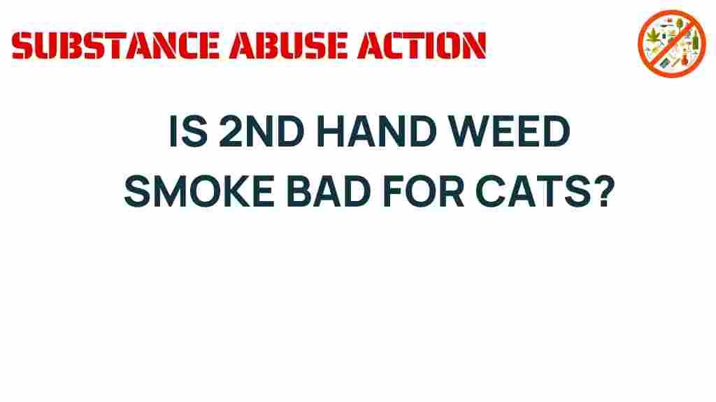 secondhand-weed-smoke-harmful-cats