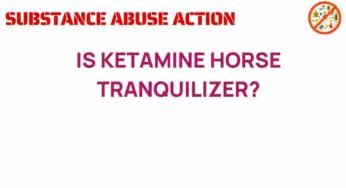 The Surprising Truth: Is Ketamine Really a Horse Tranquilizer?