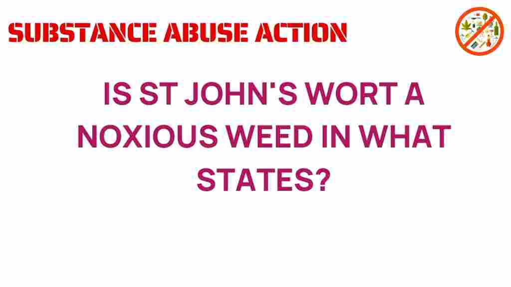 st-johns-wort-noxious-weed-impact