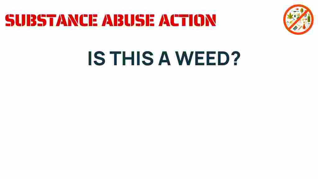 is-this-a-weed