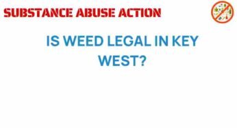 Is Weed Legal in Key West? Unpacking the Local Laws and Culture