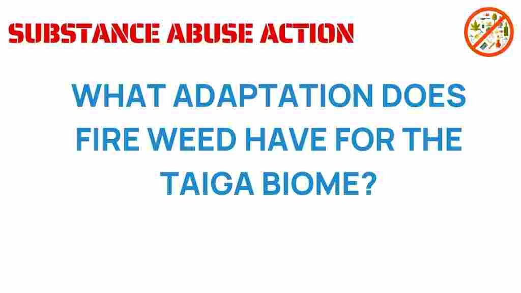 fireweed-adaptation-taiga-biome