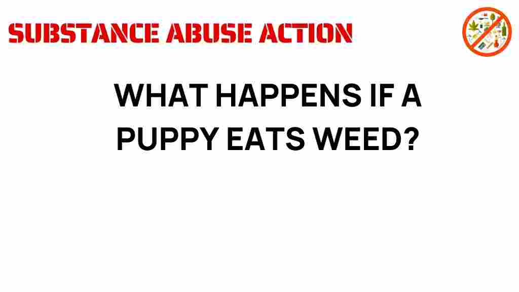 puppy-health-marijuana