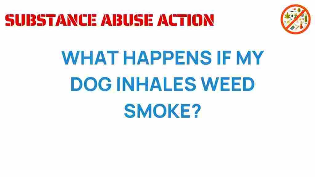dog-health-weed-smoke