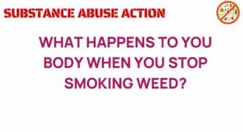 The Transformative Journey: What Happens to Your Body When You Stop Smoking Weed?