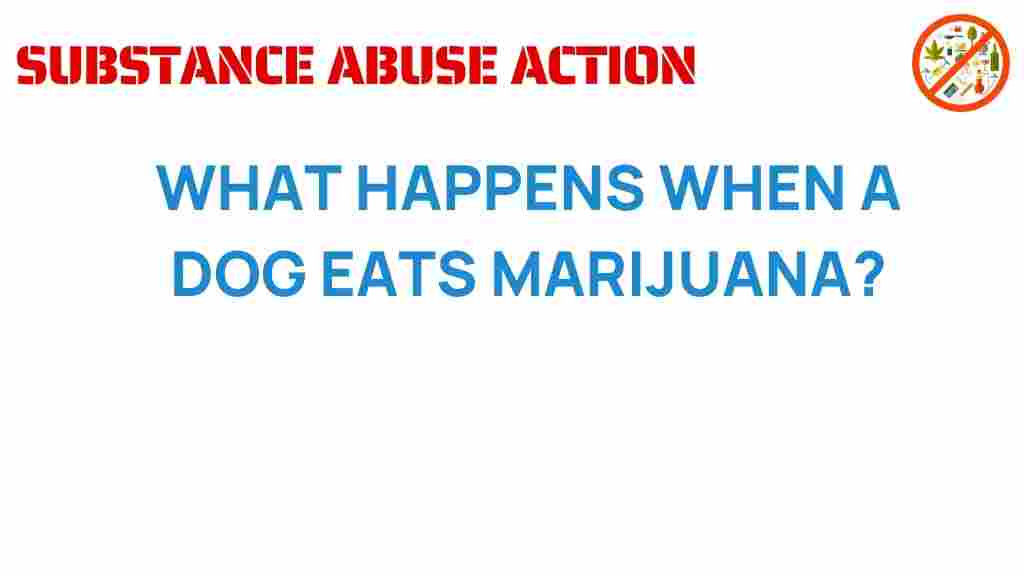 marijuana-effects-on-dogs