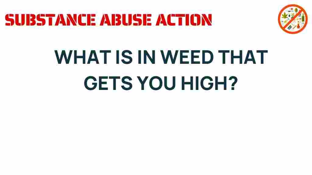 weed-mystery-what-causes-high