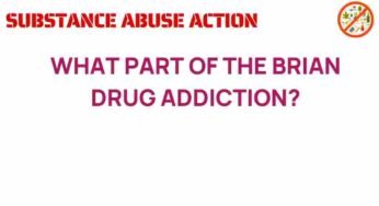Unraveling the Brain: How Drug Addiction Takes Hold