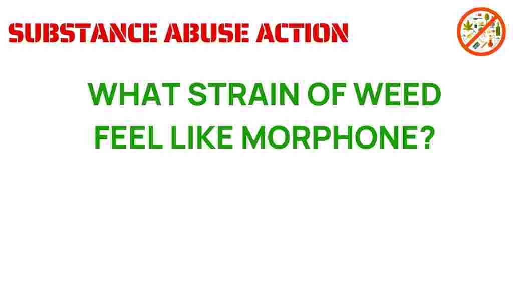 cannabis-strain-mimics-morphine