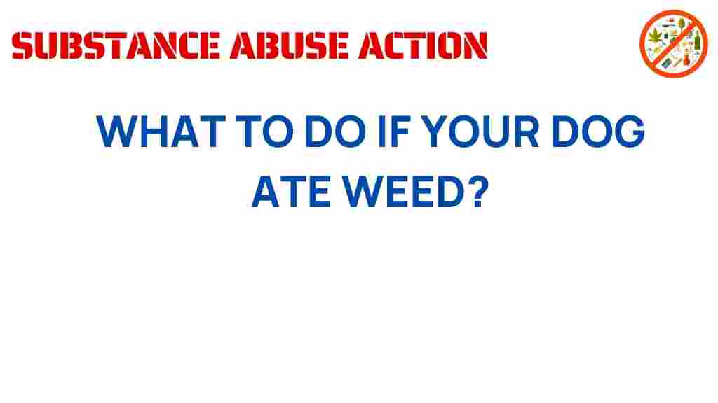 what-to-do-if-your-dog-ate-weed