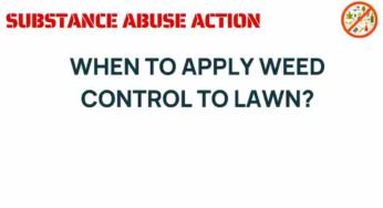 Timing is Everything: The Definitive Guide to Lawn Weed Control