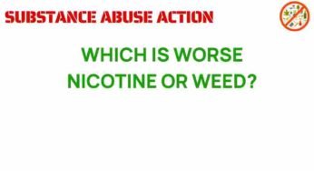 Nicotine vs. Weed: The Surprising Truth About Their Impact