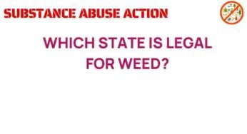 Unraveling the Mysteries: Which States Have Legalized Weed?