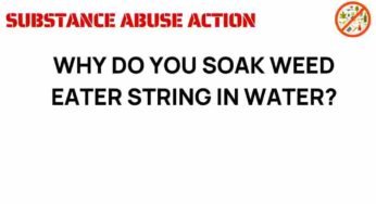 The Surprising Benefits of Soaking Weed Eater String in Water