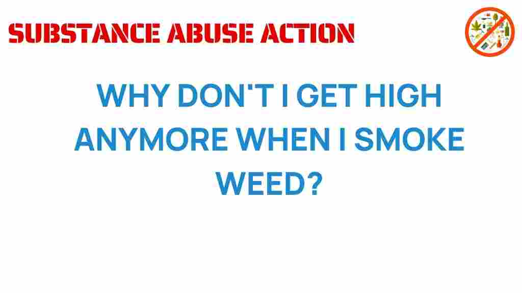 cannabis-tolerance-why-no-high