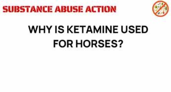 Unlocking the Mystery: Why is Ketamine Used for Horses?
