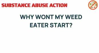 Unraveling the Mystery: Why Won’t My Weed Eater Start?