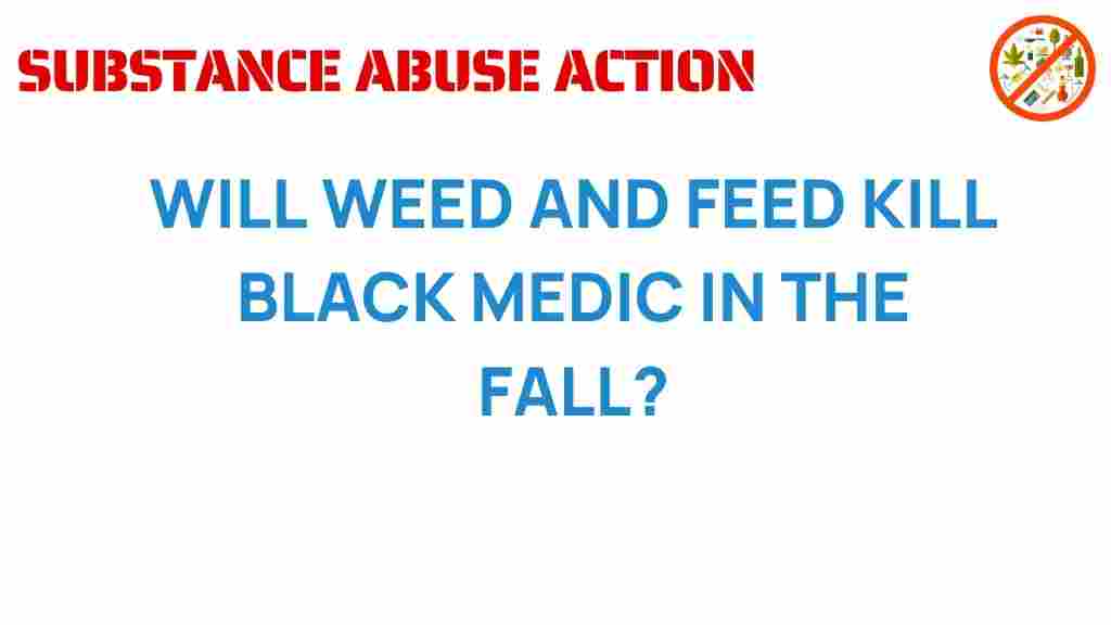 weed-and-feed-black-medic-fall